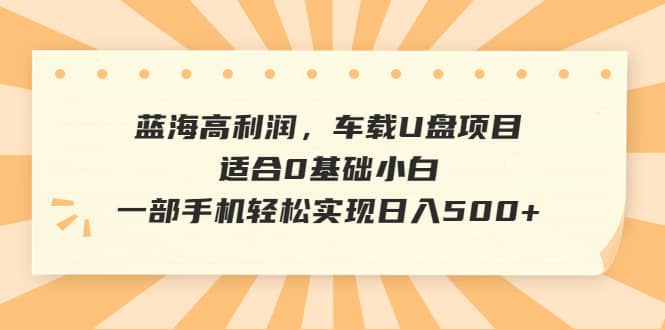 蓝海高利润，车载U盘项目，适合0基础小白，一部手机轻松实现日入500+-源创智汇网