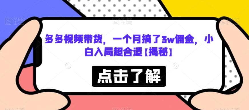 多多视频带货，一个月搞了3w佣金，小白入局超合适【揭秘】-源创智汇网