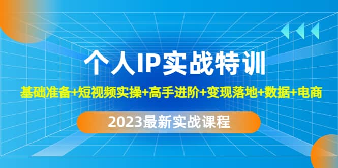2023个人IP实战特训：基础准备+短视频实操+高手进阶+变现落地+数据+电商-源创智汇网