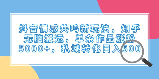 抖音情感共鸣新玩法，知乎无脑搬运，单条作品涨粉5000+，私域转化日入500-源创智汇网