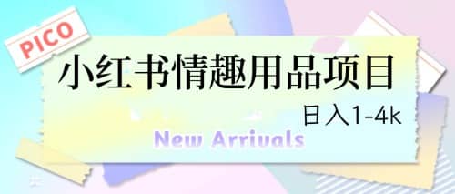 最新小红书情趣用品项目，日入1-4k-源创智汇网