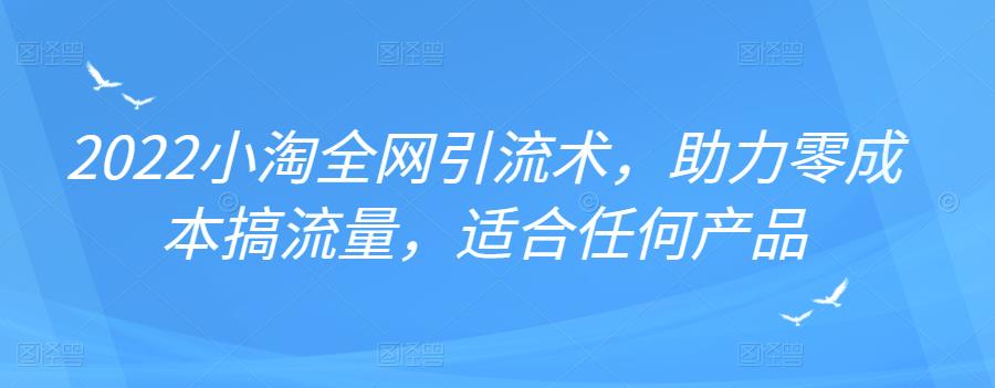 2022年小淘全网引流术，助力零成本搞流量，适合任何产品-源创智汇网