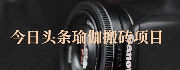 猎人社区·今日头条瑜伽搬砖项目，单号一天几十收入，可以批量操作！-源创智汇网