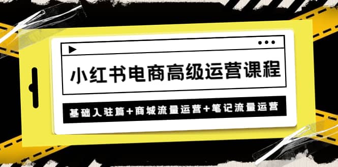 小红书电商高级运营课程：基础入驻篇+商城流量运营+笔记流量运营-源创智汇网