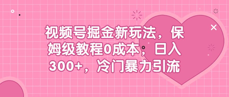 视频号掘金新玩法，保姆级教程0成本，日入300+，冷门暴力引流-源创智汇网