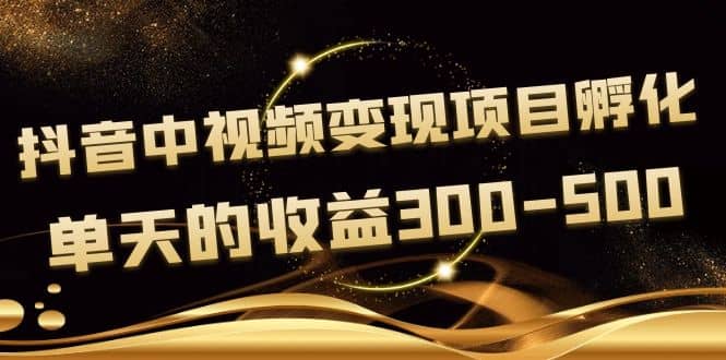 黄岛主《抖音中视频变现项目孵化》单天的收益300-500 操作简单粗暴-源创智汇网