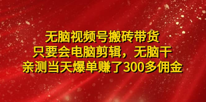 无脑视频号搬砖带货，只要会电脑剪辑，无脑干-源创智汇网