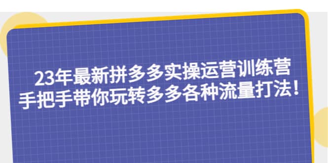 23年最新拼多多实操运营训练营：手把手带你玩转多多各种流量打法！-源创智汇网