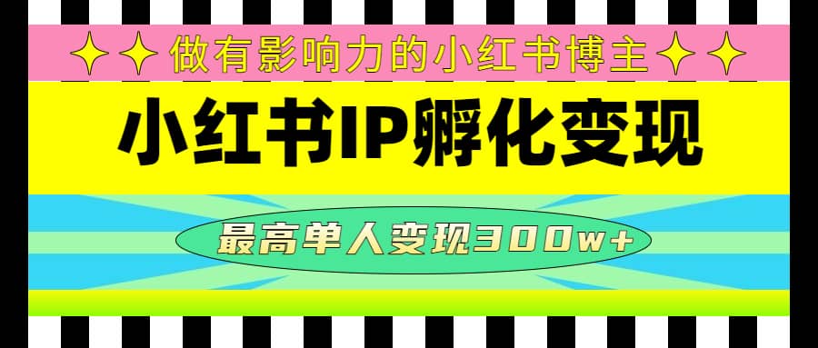 某收费培训-小红书IP孵化变现：做有影响力的小红书博主-源创智汇网