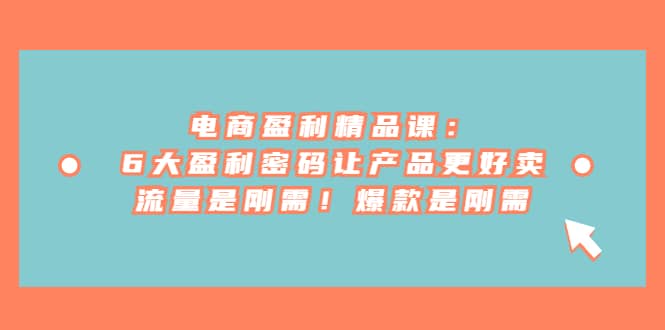 电商 盈利精品课：6大盈利 密码让产品更好卖，流量是刚需！爆款是刚需-源创智汇网