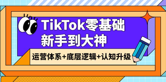 TikTok零基础新手到大神：运营体系+底层逻辑+认知升级（9节系列课）-源创智汇网