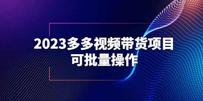 2023多多视频带货项目，可批量操作【保姆级教学】-源创智汇网