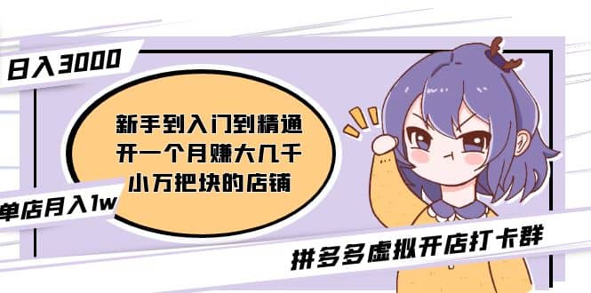 拼多多虚拟开店打卡群：新手到入门到精通-源创智汇网