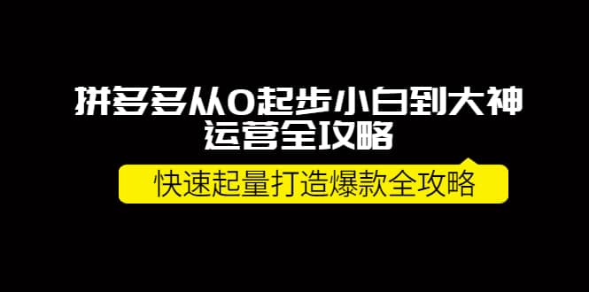 拼多多从0起步小白到大神运营全攻略-源创智汇网