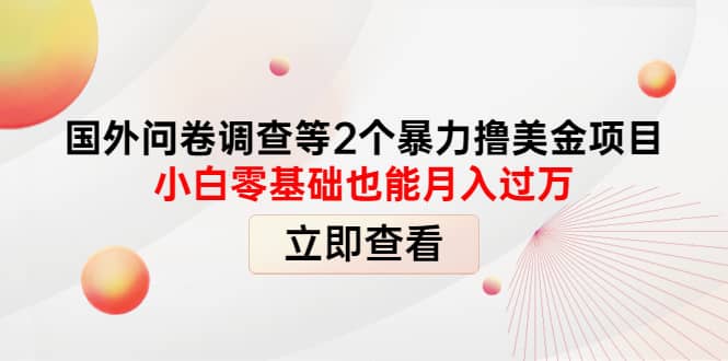 国外问卷调查等2个暴力撸美元项目，小白零基础也能月入过万-源创智汇网