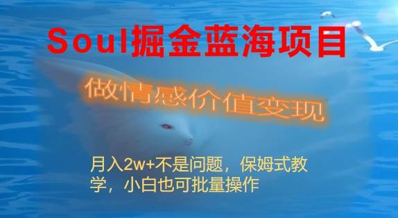 Soul掘金蓝海项目细分赛道，做情感价值变现，月入2w+不是问题-源创智汇网