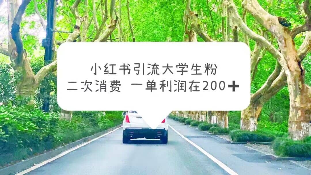 小红书引流大学生粉，变现项目，一单利润在200+（教程+资源）-源创智汇网