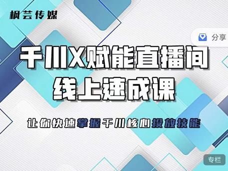 枫芸传媒-线上千川提升课，提升千川认知，提升千川投放效果-源创智汇网