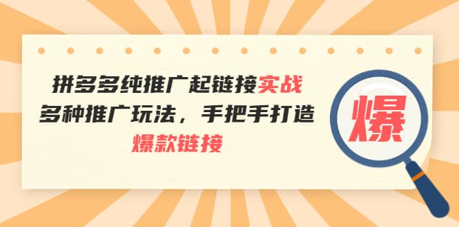 拼多多纯推广起链接实战：多种推广玩法，手把手打造爆款链接-源创智汇网