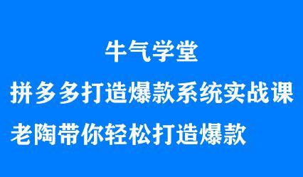 牛气学堂拼多多打造爆款系统实战课，老陶带你轻松打造爆款-源创智汇网