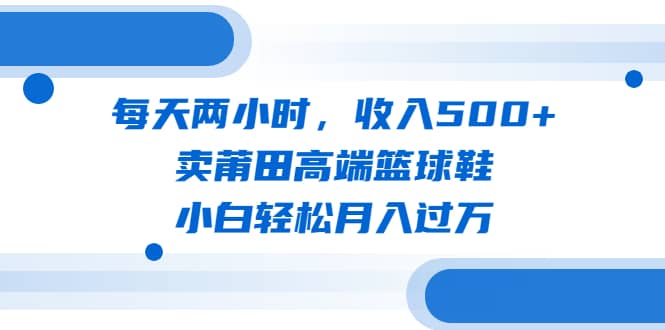 每天两小时，收入500+，卖莆田高端篮球鞋，小白轻松月入过万（教程+素材）-源创智汇网