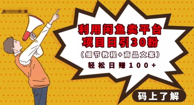 利用闲鱼卖平台项目课程资源日引流30+精准粉丝，轻松日赚100+，积累人脉可实现二次变现（细节教程+商品文案）-源创智汇网