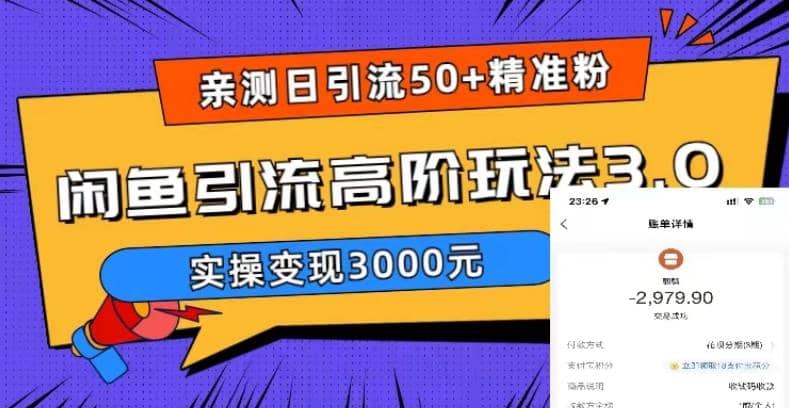 实测日引50+精准粉，闲鱼引流高阶玩法3.0，实操变现3000元-源创智汇网