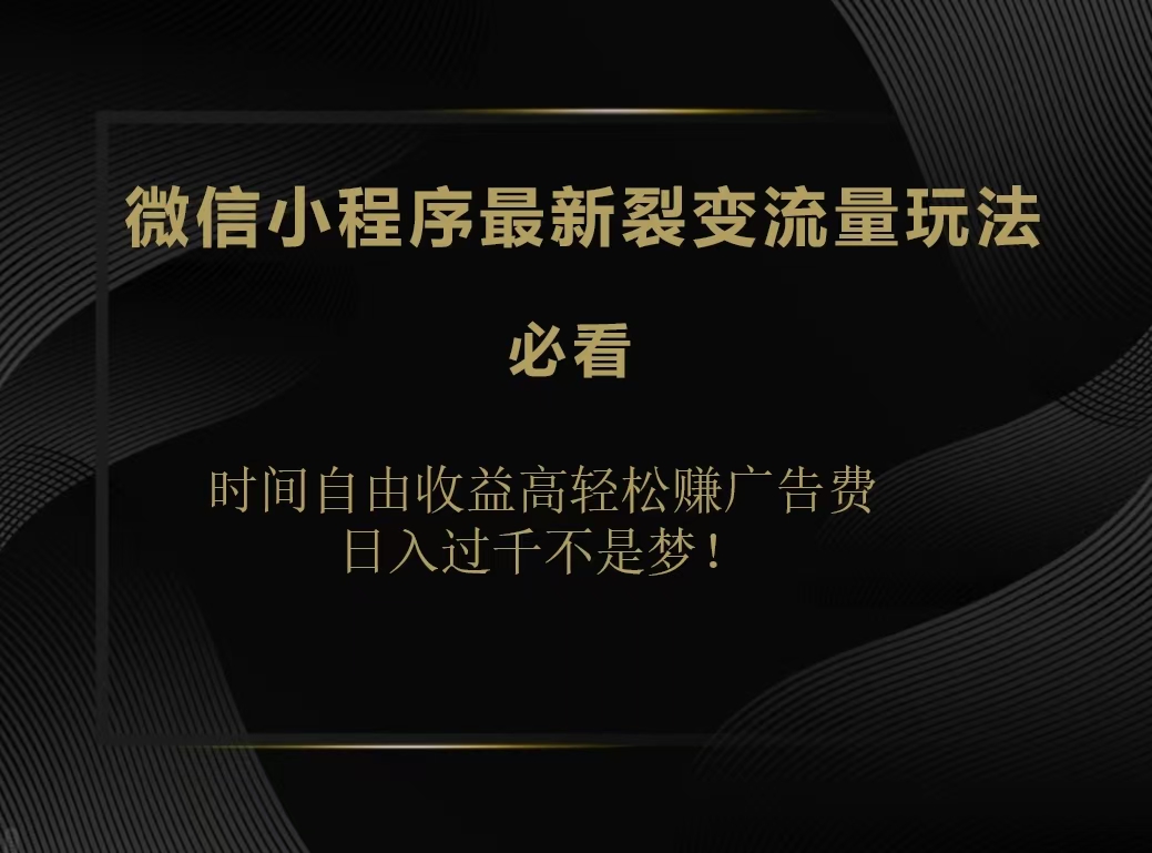 微信小程序最新裂变流量玩法，时间自由收益高轻松赚广告费，日入200-500+-源创智汇网