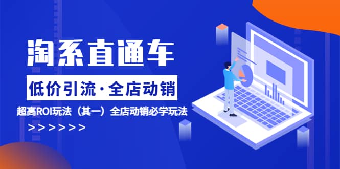 淘系直通车《低价·引流 全店·动销》超高ROI玩法（其一）全店动销必学玩法-源创智汇网