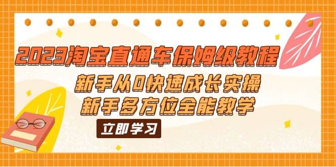 2023淘宝直通车保姆级教程：新手从0快速成长实操，新手多方位全能教学-源创智汇网