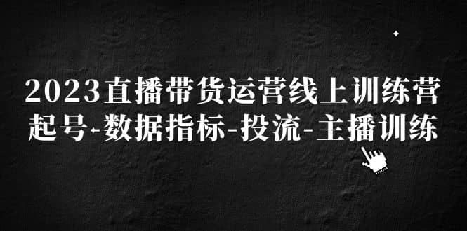 2023直播带货运营线上训练营，起号-数据指标-投流-主播训练-源创智汇网