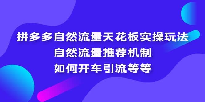 拼多多自然流量天花板实操玩法：自然流量推荐机制，如何开车引流等等-源创智汇网