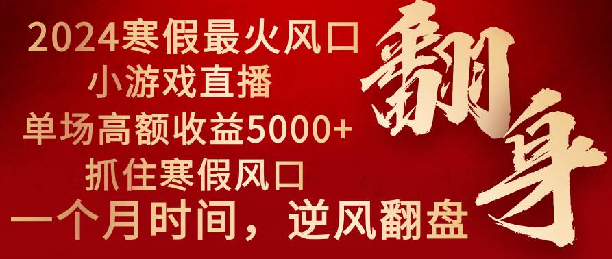 2024年最火寒假风口项目 小游戏直播 单场收益5000+抓住风口 一个月直接提车-源创智汇网