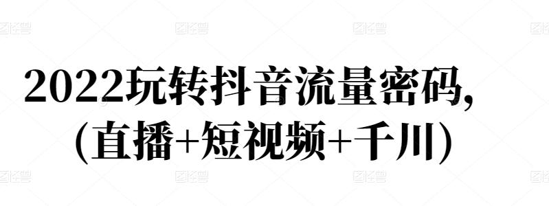2022玩转抖音流量密码，(直播+短视频+千川)-源创智汇网