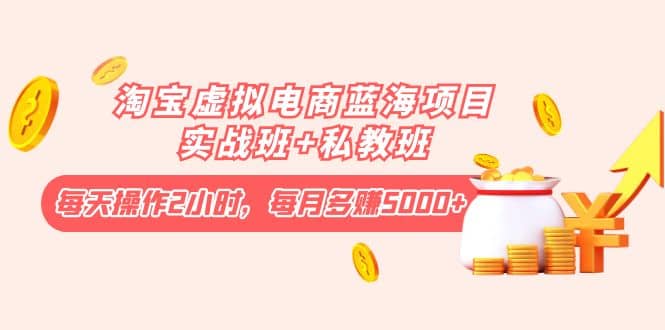 淘宝虚拟电商蓝海项目实战班+私教班-源创智汇网