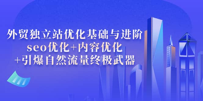 外贸独立站优化基础与进阶，seo优化+内容优化+引爆自然流量终极武器-源创智汇网