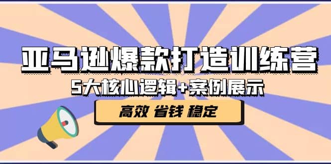 亚马逊爆款打造训练营：5大核心逻辑+案例展示 打造爆款链接 高效 省钱 稳定-源创智汇网