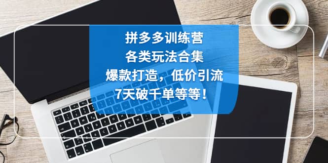 拼多多训练营：各玩法合集，爆款打造，低价引流，7天破千单等等-源创智汇网