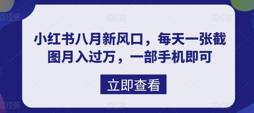 八月新风口，小红书虚拟项目一天收入1000+，实战揭秘-源创智汇网