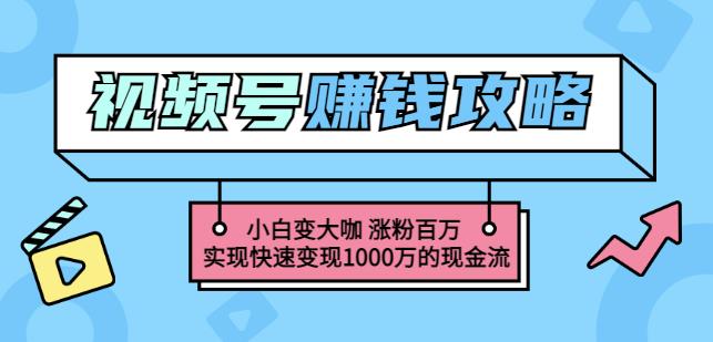 玩转微信视频号赚钱：小白变大咖涨粉百万实现快速变现1000万的现金流-源创智汇网