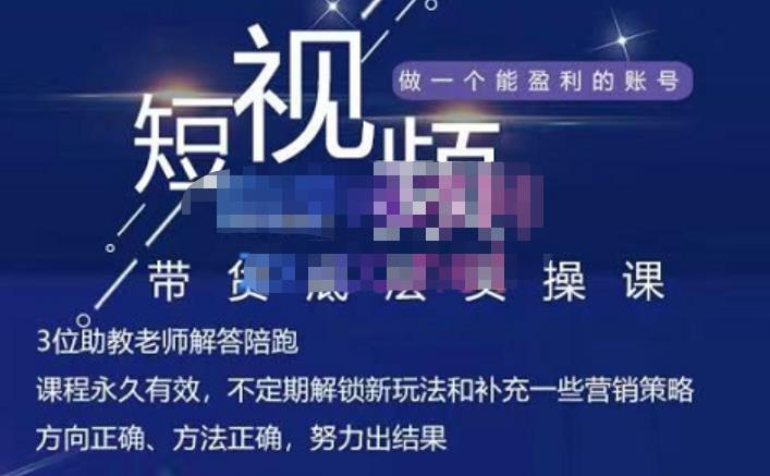 吴Sir·短视频带货底层实操课，教你如何选爆品、了解获短视频流量密码，正确起号-源创智汇网