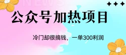 冷门公众号加热项目，一单利润300+-源创智汇网