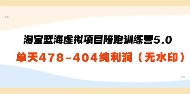 淘宝蓝海虚拟项目陪跑训练营5.0：单天478纯利润（无水印）-源创智汇网