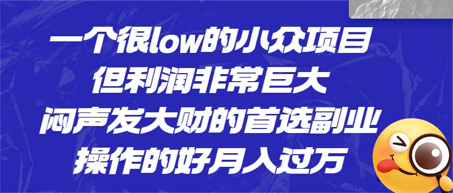 一个很low的小众项目，但利润非常巨大，闷声发大财的首选副业，月入过万-源创智汇网