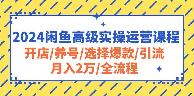 2024闲鱼高级实操运营课程：开店/养号/选择爆款/引流/月入2万/全流程-源创智汇网