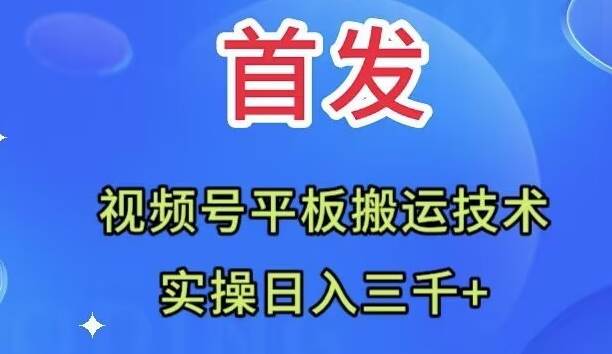 全网首发：视频号平板搬运技术，实操日入三千＋-源创智汇网