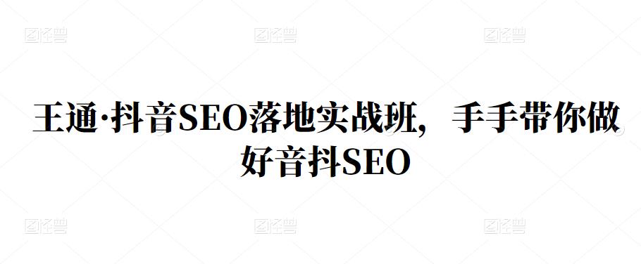 王通·抖音SEO落地实战班，手‬手带你做好音抖‬‬SEO-源创智汇网