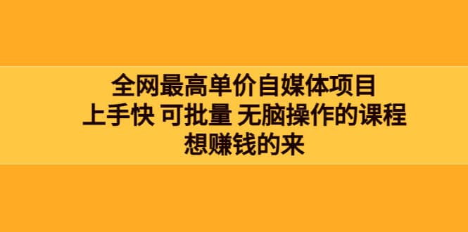全网最单高价自媒体项目：上手快 可批量 无脑操作的课程，想赚钱的来-源创智汇网