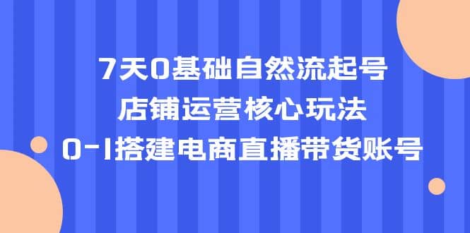7天0基础自然流起号，店铺运营核心玩法，0-1搭建电商直播带货账号-源创智汇网