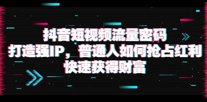 抖音短视频流量密码：打造强IP，普通人如何抢占红利，快速获得财富-源创智汇网